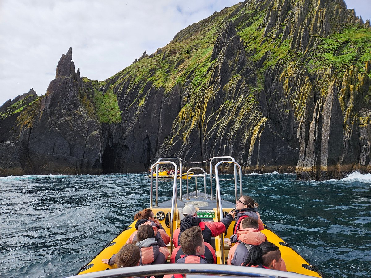 Wildlife sea safari boat tour on Mull